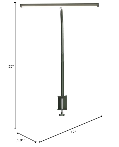 LED Desk Lamp for Office Home, Eye-Caring Desk Light with Stepless Dimming Adjustable Flexible Gooseneck, 10W USB Adapter Desk Lamp with Clamp for Reading, Study, Workbench (Green)