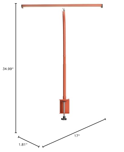 LED Desk Lamp for Office Home, Eye-Caring Desk Light with Stepless Dimming Adjustable Flexible Gooseneck, 10W USB Adapter Desk Lamp with Clamp for Reading, Study, Workbench (Orange)