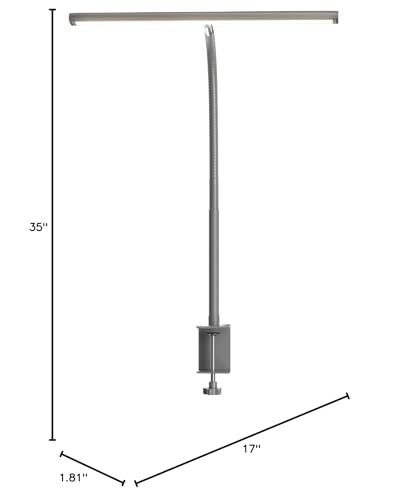 LED Desk Lamp for Office Home, Eye-Caring Desk Light with Stepless Dimming Adjustable Flexible Gooseneck, 10W USB Adapter Desk Lamp with Clamp for Reading, Study, Workbench (Grey)