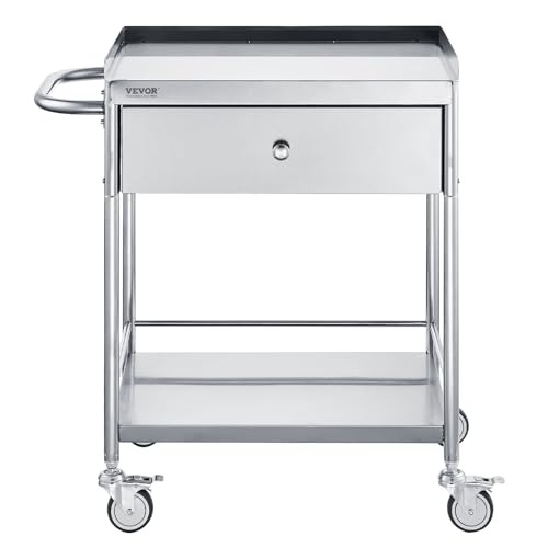 Medical Cart, 2-Layer Stainless Steel Cart 220 lbs Weight Capacity, Lab Utility Cart with 360° Silent Wheels and a Drawer for Lab, Clinic, Kitchen, Salon