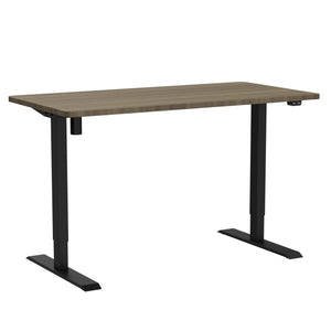 EN1 One-Piece Standing Desk, Electric Adjustable with 4 Memory Presets, 176 LBS Capacity, Stable & Quiet, Seamless Desktop for Home Office & Dual Monitors, 55