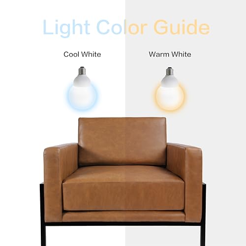 Modern Metal Frame Accent Chair| Home Décor|Accent Chairs for Living Room & Bedroom - Carmel Faux Leather