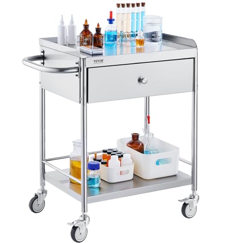 Medical Cart, 2-Layer Stainless Steel Cart 220 lbs Weight Capacity, Lab Utility Cart with 360° Silent Wheels and a Drawer for Lab, Clinic, Kitchen, Salon