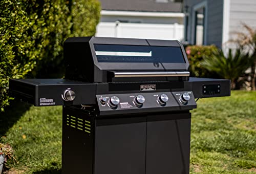 Denali 425 4-Burner Liquid Propane Gas Smart bbq Grill Stainless Steel with BBQ Cover (2 items)