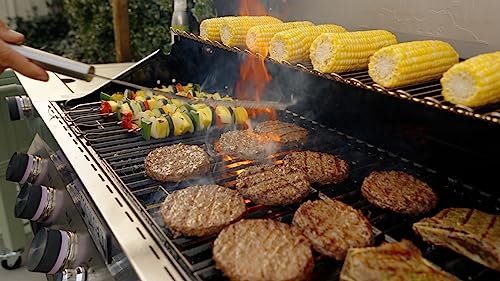 6-Burner Convertible Natural Gas Smart bbq Grill Stainless Steel Denali 605 with Conversion Kit