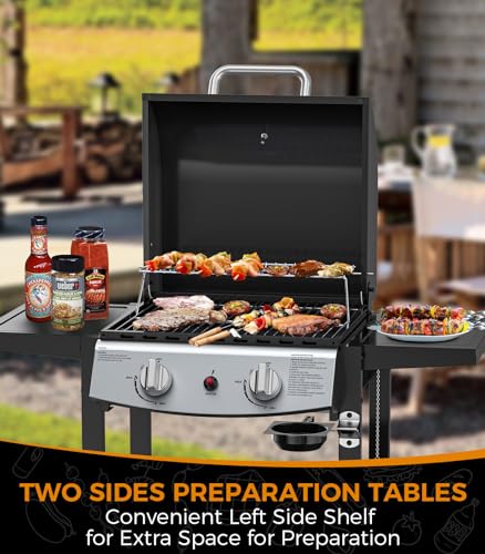 2-Burner Propane Gas BBQ Grill, 20,000 BTU Stainless Steel Grill with Side Shelves and Wheels, Portable Outdoor Grill for Patio, Backyard, Garden, or Camping Cooking