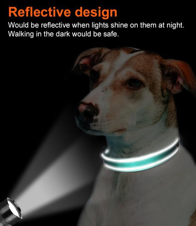 Reflective Dog Collar, Soft Neoprene Padded, Metal D-Ring, Nylon Pet Collar Adjustable for Medium Dogs, Teal, M