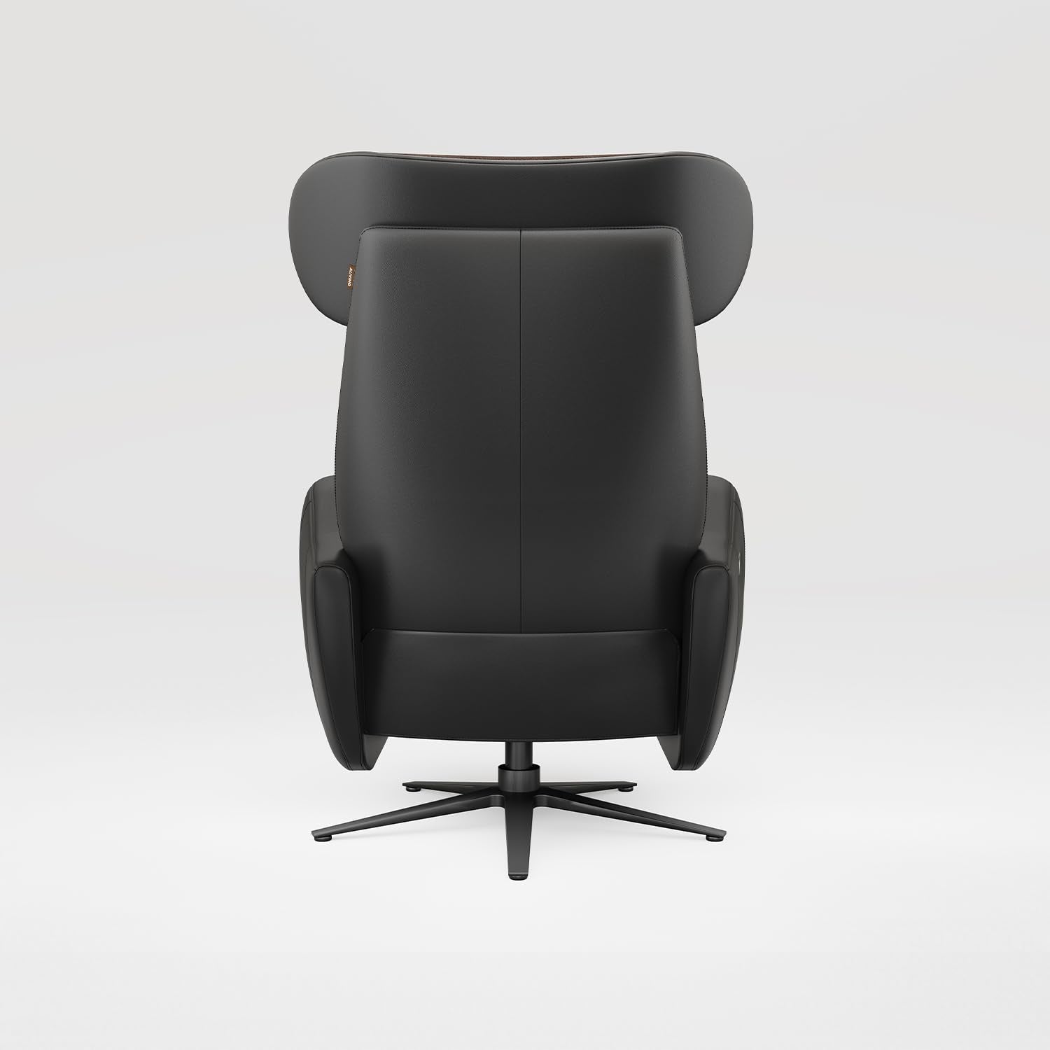 Recliner Chair Single Seater Zero Gravity Swivel Power Sofa for Living Room SwanSing Dual Motor Chair with USB & Type-C Ports, Black Brown