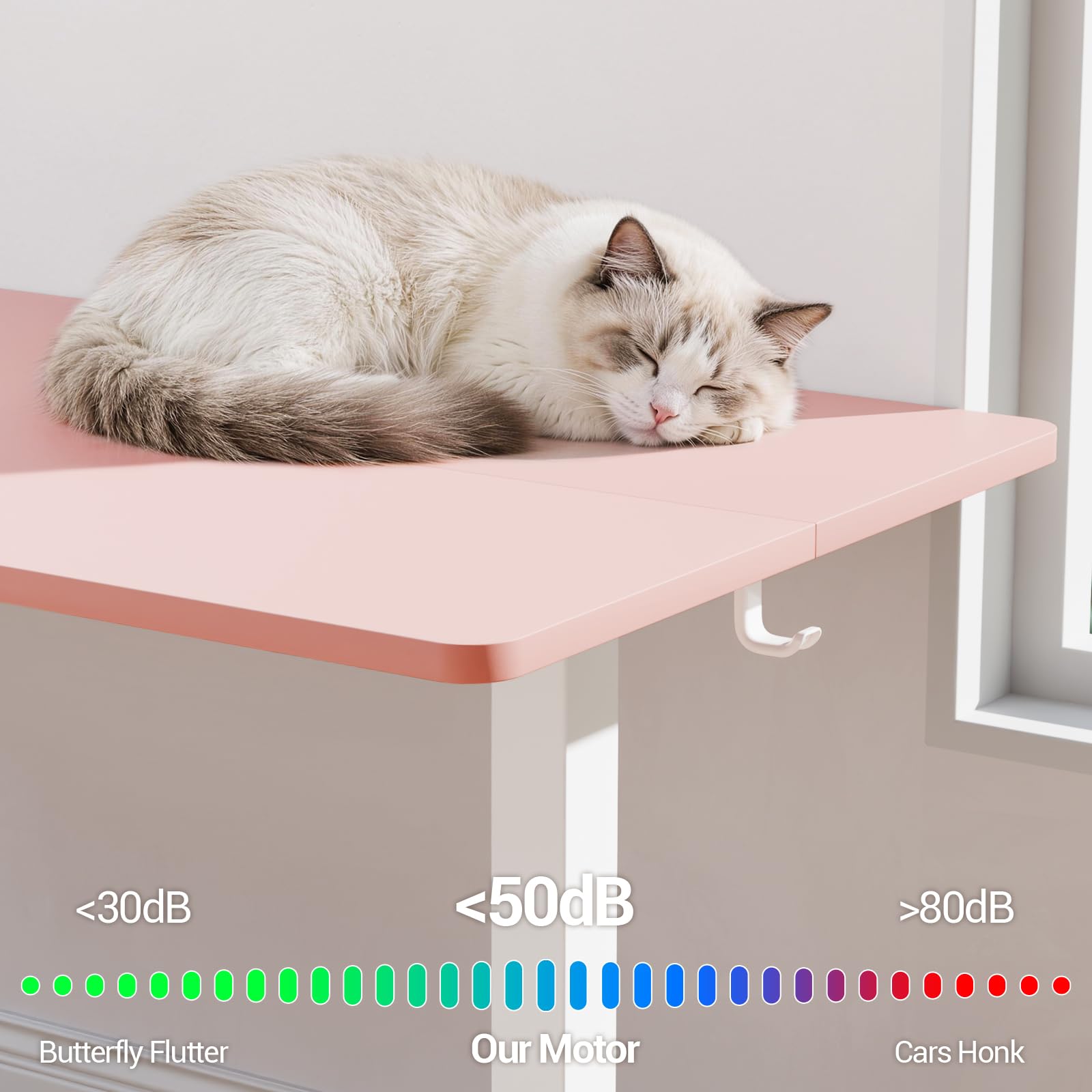 55 Inch Large Electric Standing Desk, 4 Memory Heights Adjustable,Sit to Stand Up, Work Home Office Computer Table for Study, Walking Pad, Writing, and Games, Wooden Desktop Desks, Pink