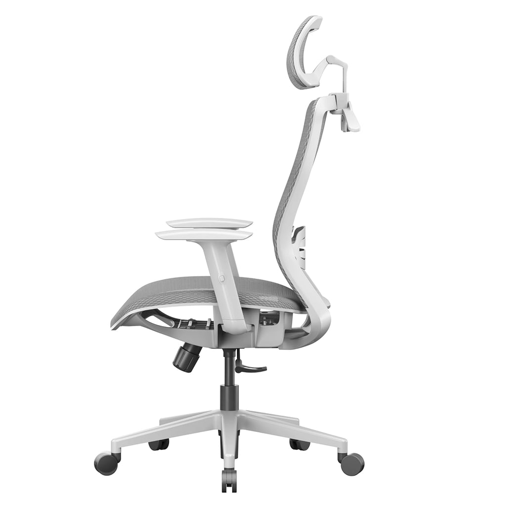 Ergonomic Office Chair Mesh Back Swivel Computer Chair Executive Office Desk Chairs with Adjustable Lumbar Support/2D Headrest/Lockable Backrest, Light Gray