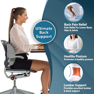 Lumbar Support Back Pillow Office Chair and Car Seat Cushion - Memory Foam with Adjustable Strap and Breathable 3D Mesh (Gray)