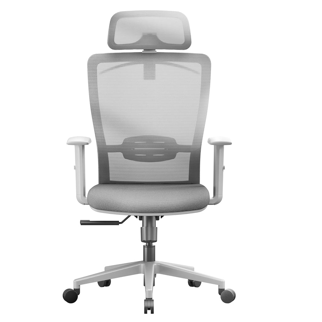 Ergonomic Office Chair, High Back Home Office Desk Chairs with Adjustable Lumbar Support, Armrests,90-130° Tilt Lock, Swivel Computer Gaming Chairs for Adults, OC3 Cloud, Light Gray