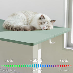 55 Inch Large Electric Standing Desk, 4 Memory Heights Adjustable,Sit to Stand Up, Work Home Office Computer Table for Study, Walking Pad, Writing, and Games, Wooden Desktop Desks, Green
