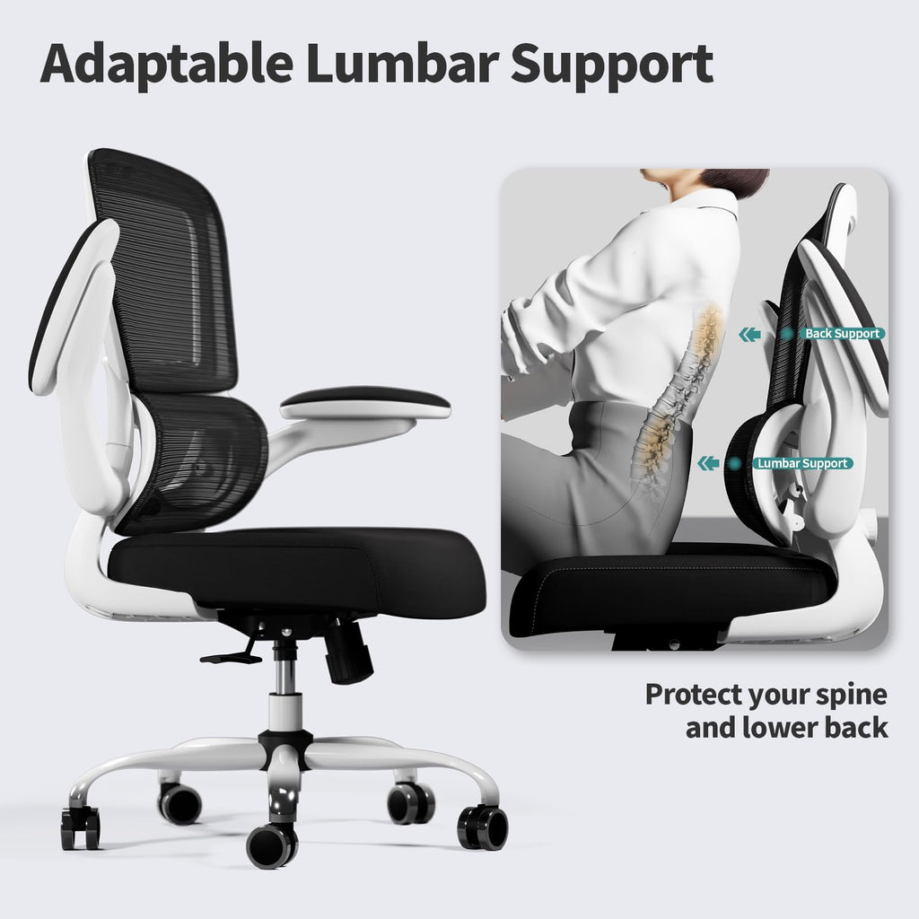 Office Chair - Ergonomic Desk Chair with Adjustable Lumbar Support, Mesh Computer Chair, Executive Chairs for Home Office Comfortable Lumbar Support (White+Black)