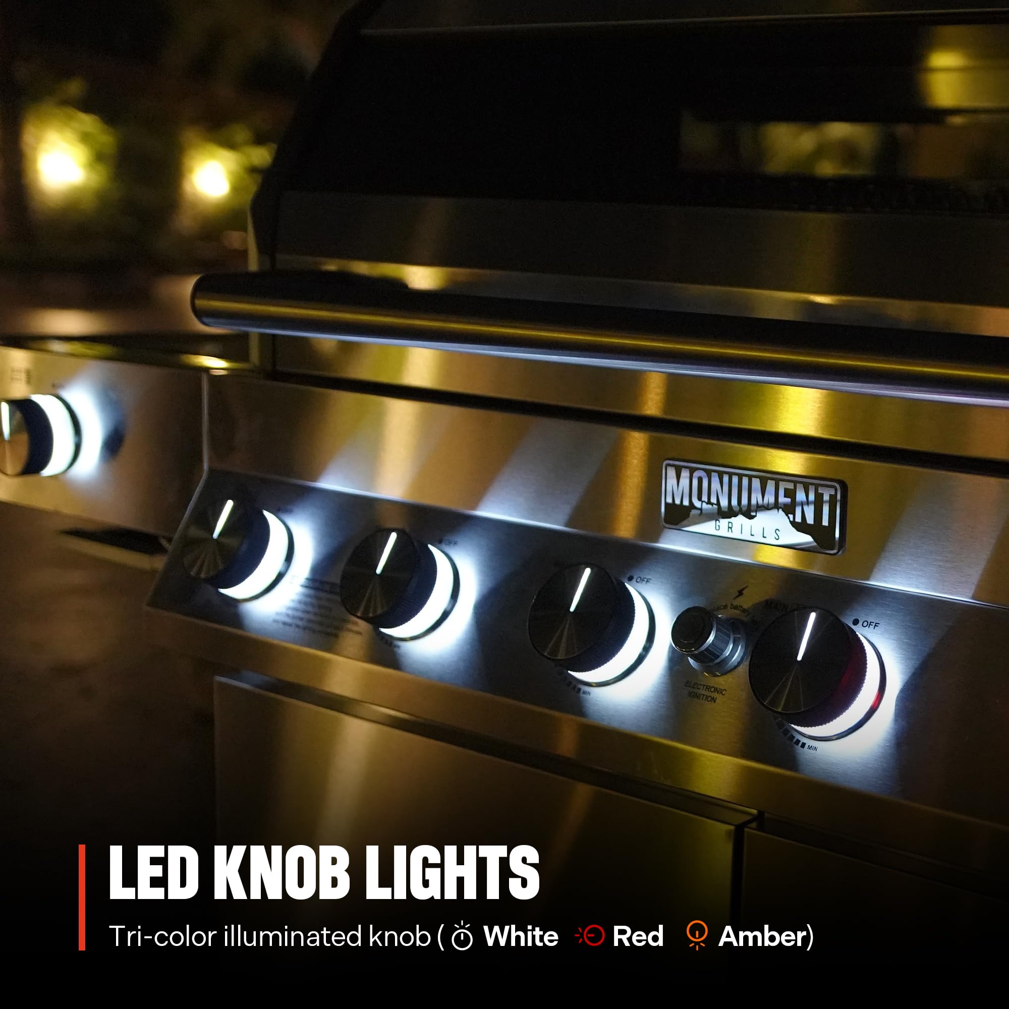 6-Burner Convertible Natural Gas Smart bbq Grill Stainless Steel Denali 605 with Conversion Kit