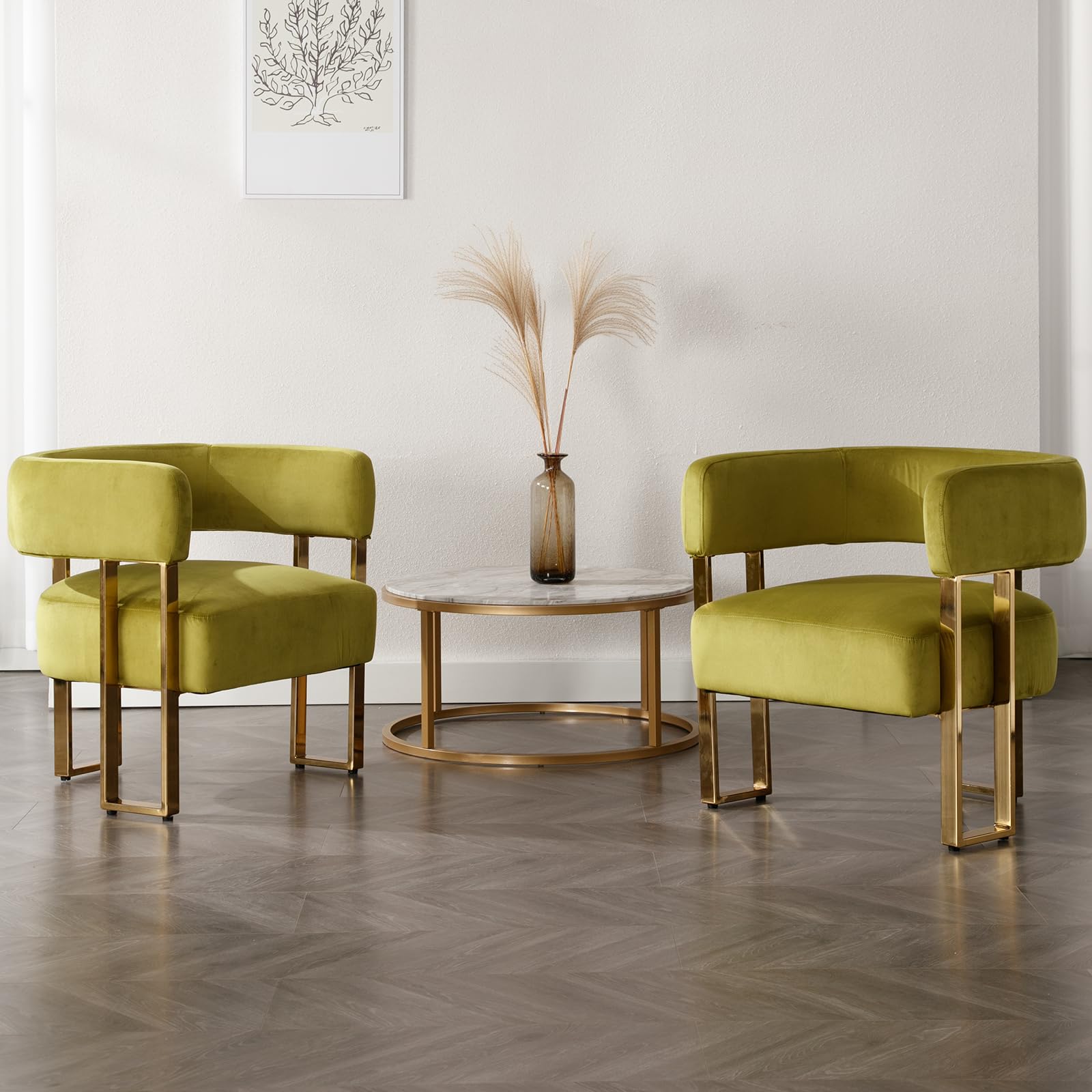 Modern Barrel Accent Chairs Set of 2, Velvet Living Room Chairs with Gold Metal Legs, Comfy Upholstered Single Sofa Armchair Side Chair for Lounge/Bedroom/Reading, Olive