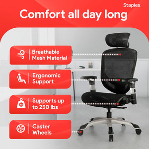 Ergonomic Task Chair, Mesh, Ergonomic, Lumbar Support, Swivel, Black