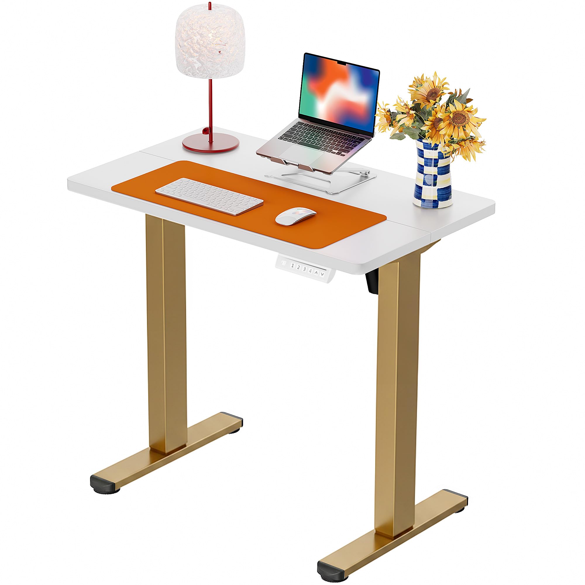 Height Adjustable Electric Standing Desk, 32 x 19 Inches Sit Stand up Desk, Memory Computer Home Office Desk, White+Gold