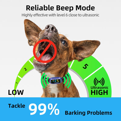 Dog Bark Collar for Large Medium Small Dogs, Rechargeable Smart Bark Collar, Anti Barking Training Collar with 5 Adjustable Sensitivity Beep Vibration (Purple)