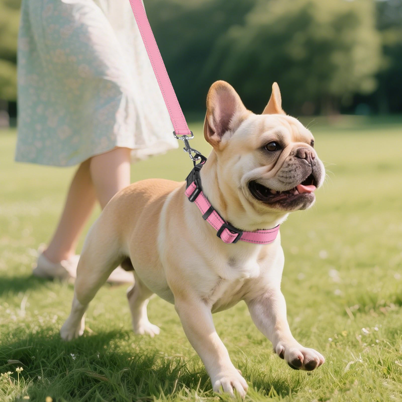 Reflective Dog Collar, Soft Neoprene Padded, Metal D-Ring, Nylon Pet Collar Adjustable for Medium Dogs, Pink, M
