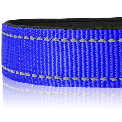 Reflective Dog Collar, Soft Neoprene Padded, Metal D-Ring, Nylon Pet Collar Adjustable for Small Dogs, Navy Blue, S