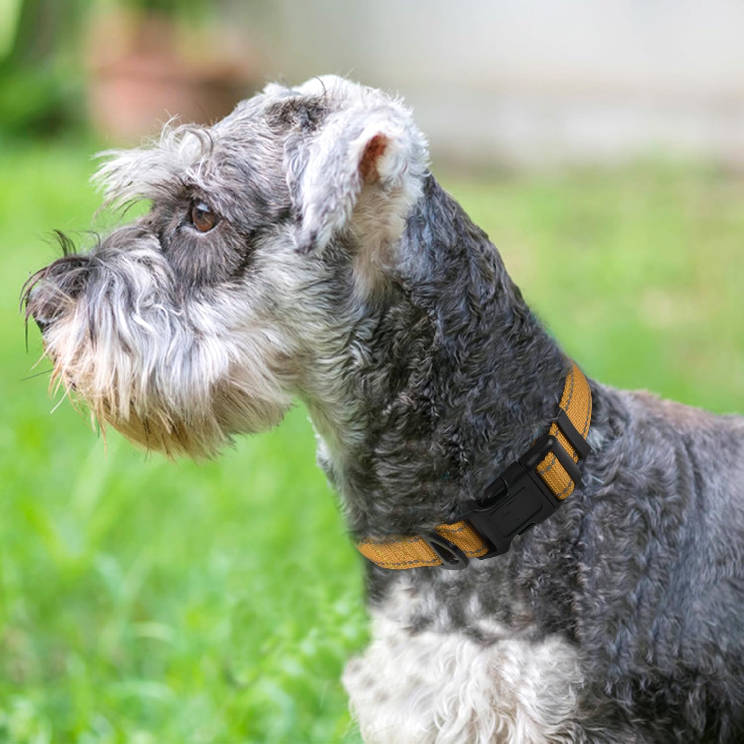 Reflective Dog Collar, Soft Neoprene Padded, Metal D-Ring, Nylon Pet Collar Adjustable for Small Dogs, Khaki, S