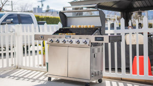 6-Burner Convertible Natural Gas Smart bbq Grill Stainless Steel Denali 605 with Conversion Kit