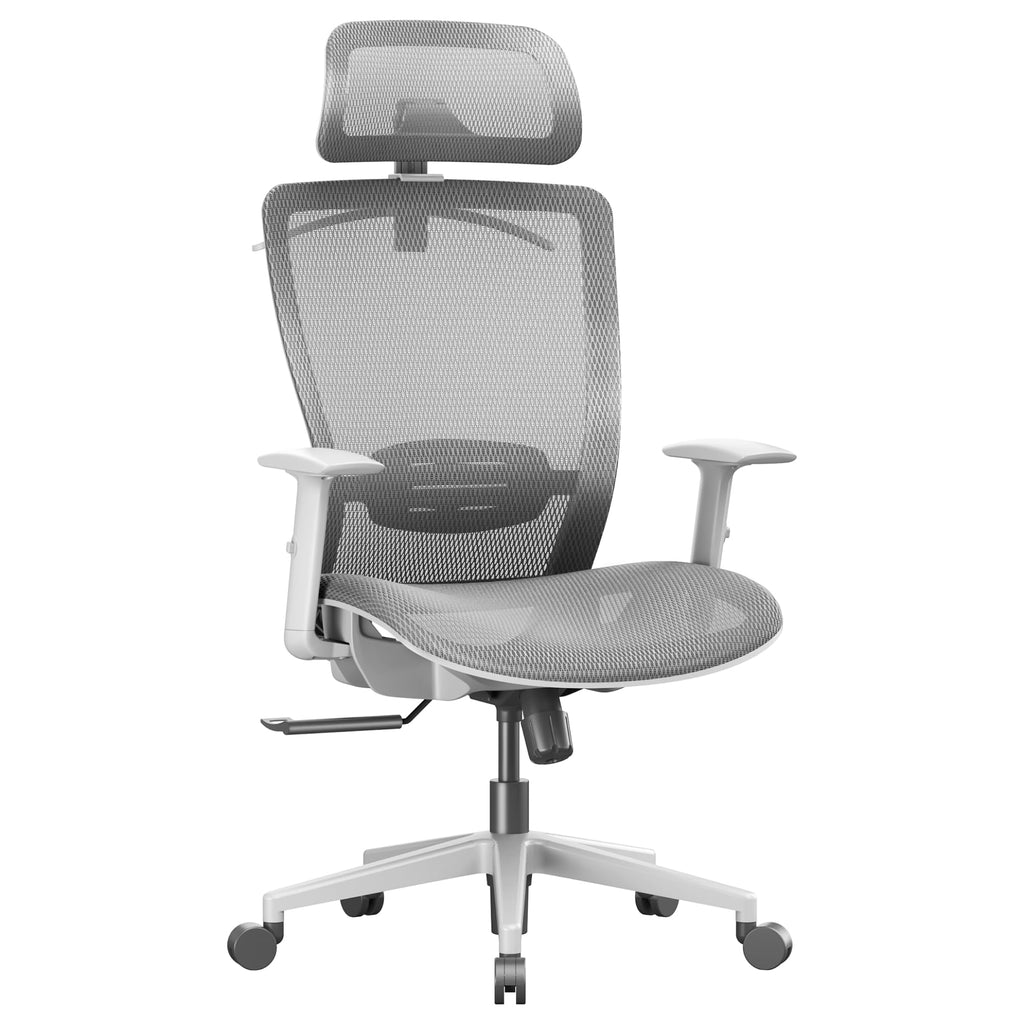 Ergonomic Office Chair Mesh Back Swivel Computer Chair Executive Office Desk Chairs with Adjustable Lumbar Support/2D Headrest/Lockable Backrest, Light Gray