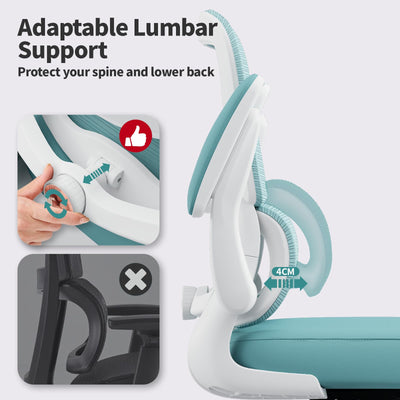 Office Chair - Ergonomic Desk Chair with Adjustable Lumbar Support, Mesh Computer Chair, Executive Chairs for Home Office Comfortable Lumbar Support (Mint Green)