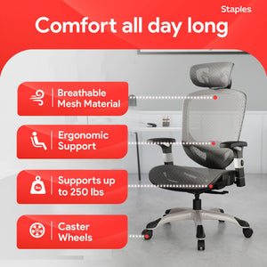 Ergonomic Task Chair, Mesh, Ergonomic, Lumbar Support, Swivel, Gray
