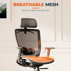 Ergonomic Office Chair Swivel Computer Chair Home Office Desk Chairs with Lumbar Support/2D Headrest/300lbs Heavy Duty/Lockable Back,Mesh Seat Cushion,ErgoChair Pro, Gray