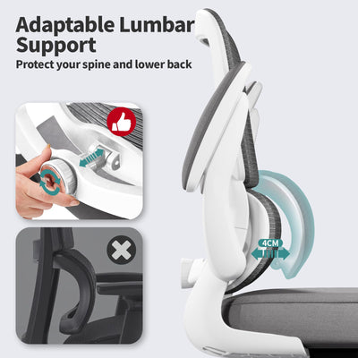 Office Chair - Ergonomic Desk Chair with Adjustable Lumbar Support, Mesh Computer Chair, Executive Chairs for Home Office Comfortable Lumbar Support (White)