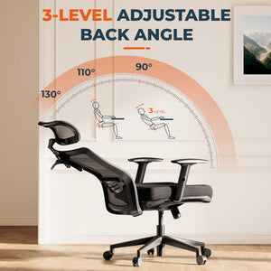 Ergonomic Office Chair High Back Computer Chair Home Office Desk Chairs with Lumbar Support/Heavy Duty Base/Headrest/Lockable Back, Comfortable Foam Seat Cushion, ErgoChair Pro, Black