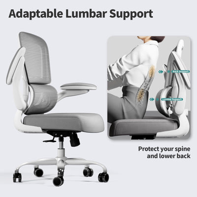 Office Chair - Ergonomic Desk Chair with Adjustable Lumbar Support, Mesh Computer Chair, Executive Chairs for Home Office Comfortable Lumbar Support (Ash Gray)