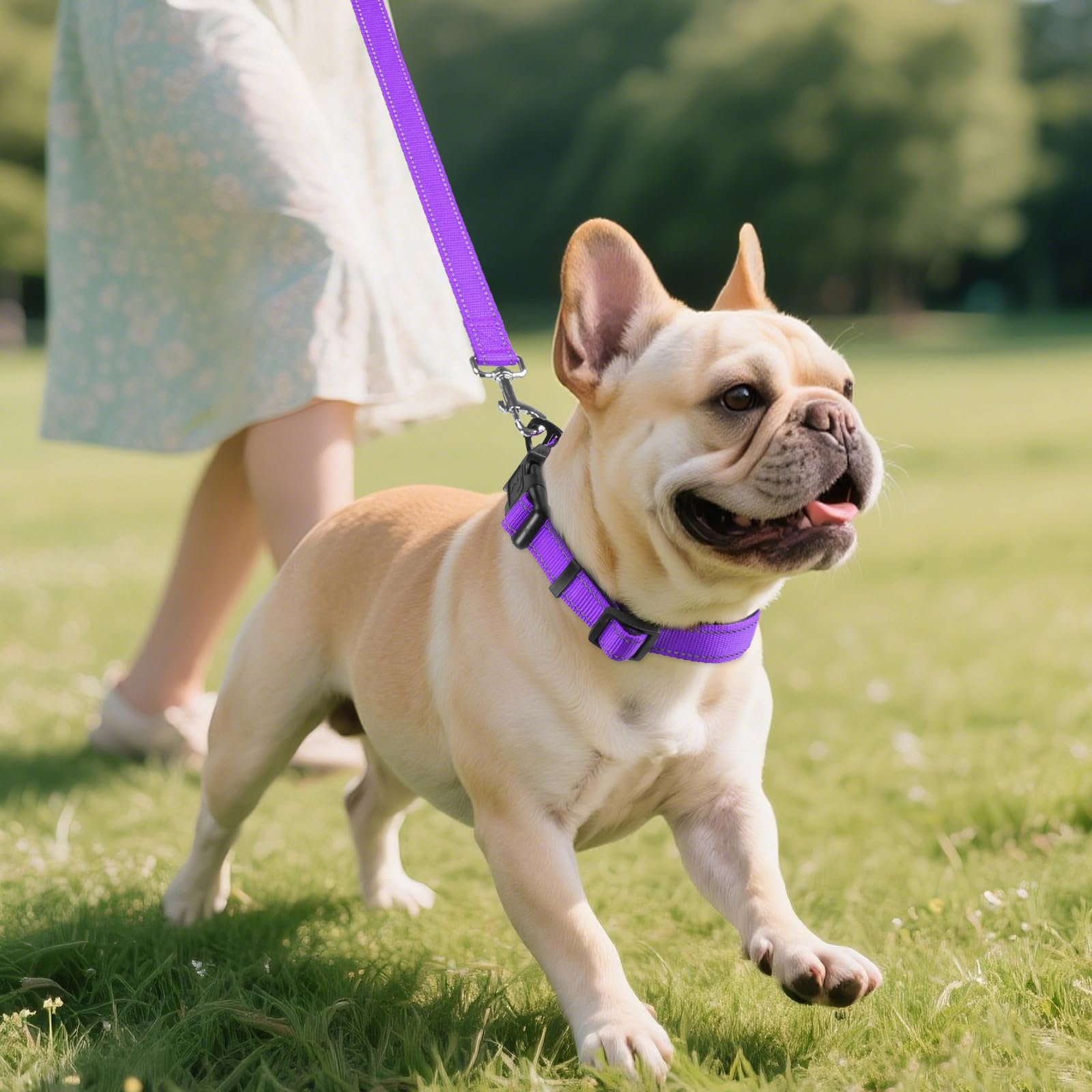 Reflective Dog Collar, Soft Neoprene Padded, Metal D-Ring, Nylon Pet Collar Adjustable for Medium Dogs, Purple, M
