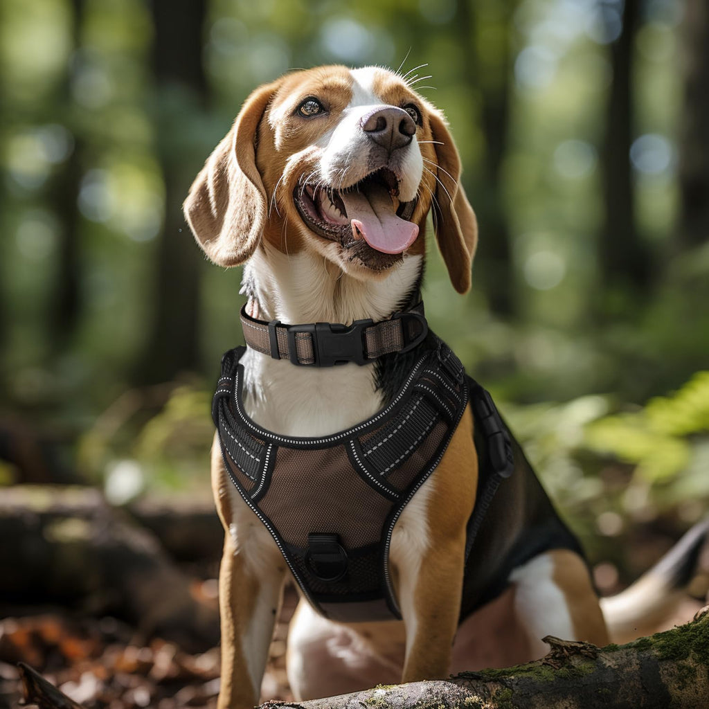 Reflective Dog Collar, Soft Neoprene Padded, Metal D-Ring, Nylon Pet Collar Adjustable for Small Dogs, Brown, Small