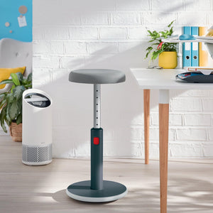 Ergo Active Sit Stand 2 in 1 Stool, Adjustable Ergonomic Wobble Chair, Strong and Stable for Office and Home (65180089-NA)