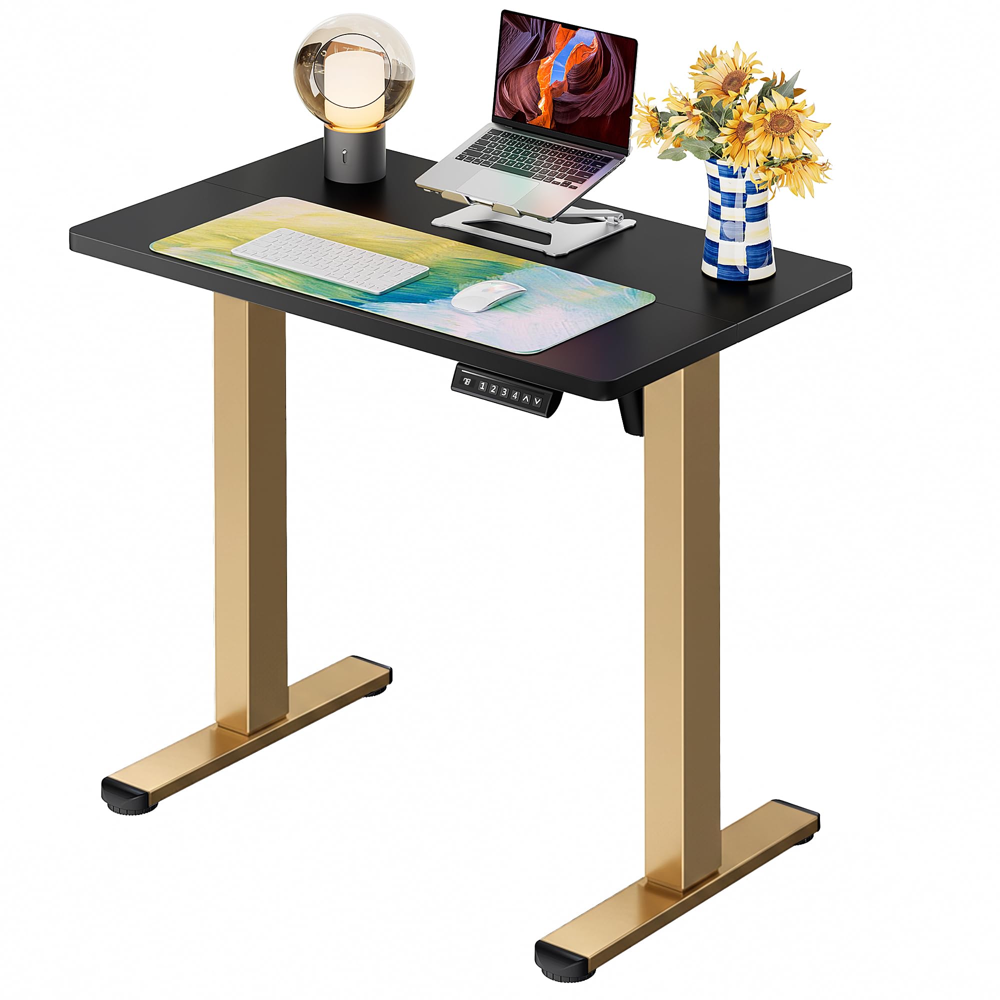 Height Adjustable Electric Standing Desk, 32 x 19 Inches Sit Stand up Desk, Memory Computer Home Office Desk, Black+Gold