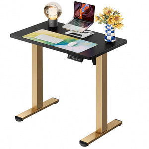 Height Adjustable Electric Standing Desk, 32 x 19 Inches Sit Stand up Desk, Memory Computer Home Office Desk, Black+Gold