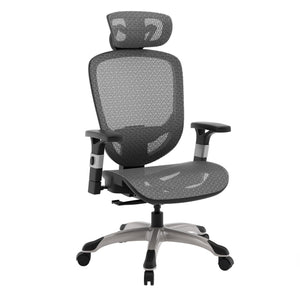 Ergonomic Task Chair, Mesh, Ergonomic, Lumbar Support, Swivel, Gray
