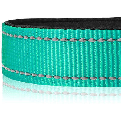 Reflective Dog Collar, Soft Neoprene Padded, Metal D-Ring, Nylon Pet Collar Adjustable for Medium Dogs, Teal, M