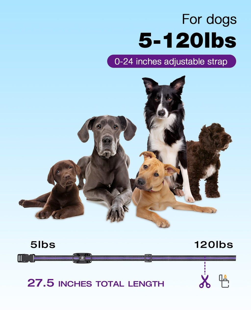 Dog Shock Collar - 3300Ft Training Collar with Remote for 5-120lbs Small Medium Large Dogs Rechargeable Waterproof e Collar with Beep (1-8), Shake(1-16), Safe Shock(1-99) Modes (Lightpurple)