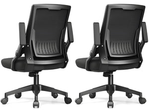 Pack of 2, Black, Ergonomic Office Chair with Flip-up Armrests Executive Computer Chair for Home Office, Breathable Mesh & Comfy Lumbar Support,