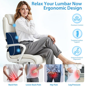 Lumbar Support Pillow for Office Chair, Car Seats and Home Desks, Ergonomic Back Support with Double Adjustable Straps, Machine Washable Cover, Blue