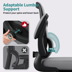 Office Chair - Ergonomic Desk Chair with Adjustable Lumbar Support, Mesh Computer Chair, Executive Chair for Home Office Comfortable Lumbar Support (Fog Gray)