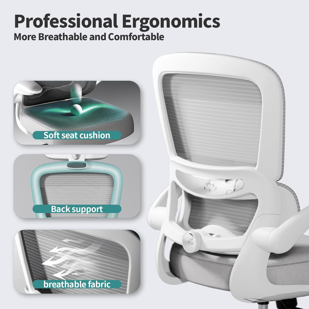 Office Chair - Ergonomic Desk Chair with Adjustable Lumbar Support, Mesh Computer Chair, Executive Chairs for Home Office Comfortable Lumbar Support (Ash Gray)