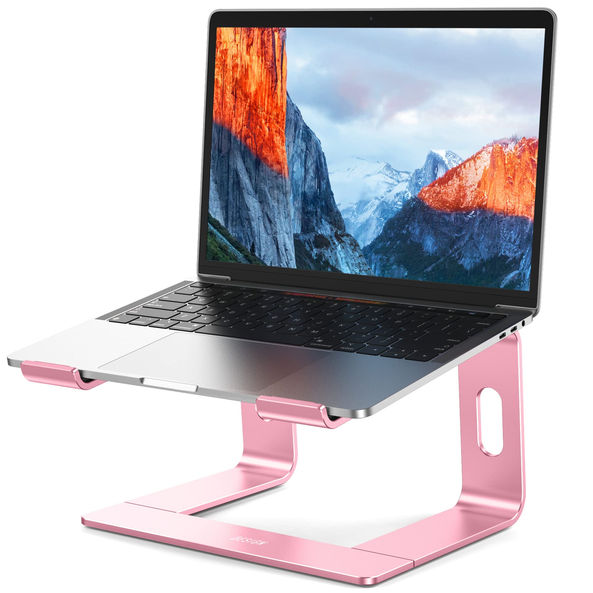 Aluminum Laptop Stand, Ergonomic Detachable Computer Stand, Notebook Riser, Laptop Mount Compatible with Air, Pro, Dell, HP, Lenovo More 10-15.6
