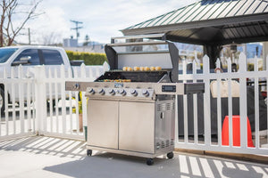 6-Burner Convertible Natural Gas Smart bbq Grill Stainless Steel Denali 605 with Smoke Box (Without Conversion Kit)