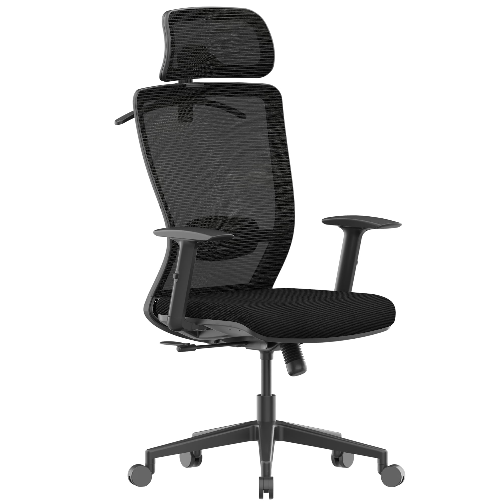 Ergonomic Office Chair, High Back Home Office Desk Chairs with Adjustable Lumbar Support, Armrests,90-130° Tilt Lock, Swivel Computer Gaming Chairs for Adults, OC3 Cloud, Black