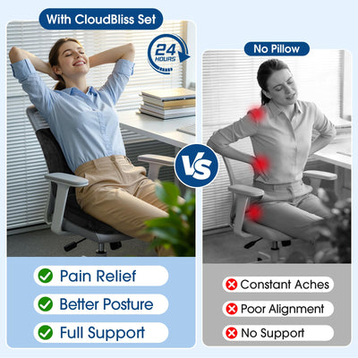 Lumbar Support Pillow & Seat Cushion Set for Office Chair, Desk Chair, Wheelchair & Car – Memory Foam Back Support, Ergonomic Chair Cushions, Sciatica Pain Relief, Home Essentials, Black